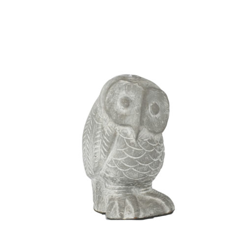 Owl M  LJP-032