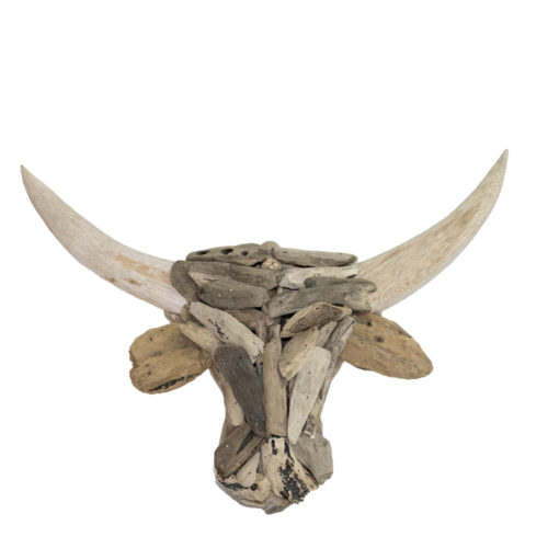 Bull Head  FTA-015
